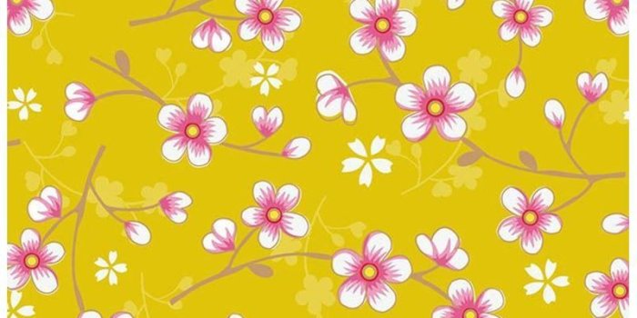 800x1200 Cherry Blossom Yellow Wallpapers - Top Free Cherry Blossom Yellow