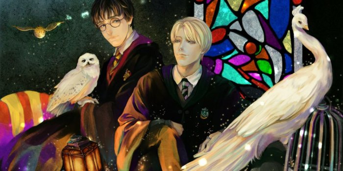1131x700 Harry potter fanart animal character boys wallpaper | 1500x928