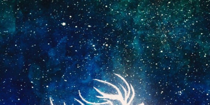1000x1778 Harry Potter Fanart Wallpapers pack – I.B.G. WIRAGA