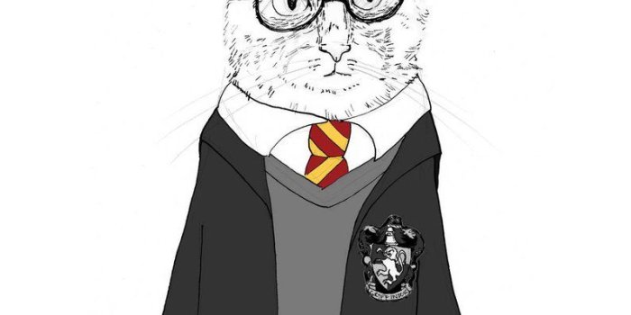 794x993 Latest Harry Potter Cat Harry Potter Fan Art The Boy Who Lived As