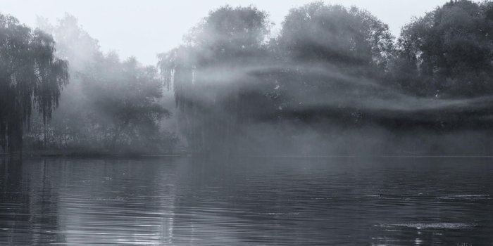 1920x1200 Fog HD Wallpaper | Background Image | 1920x1200 | ID:236889