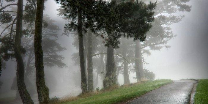 1920x1200 Gorgeous Fog Wallpapers (49+) Desktop Backgrounds