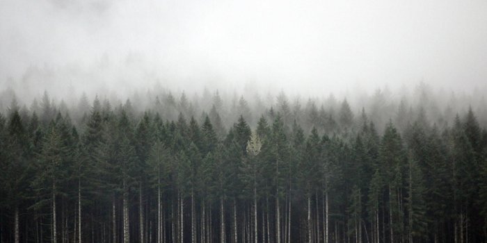 1920x1200 Views fog HD wallpapers | (2)