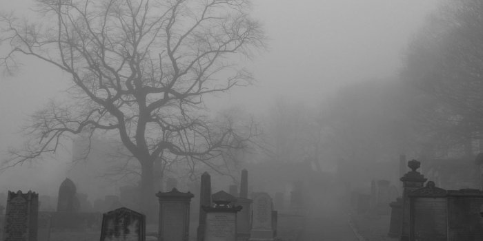 1795x1273 Spirit Healer on Mysterious Mist | Old cemeteries, Danse