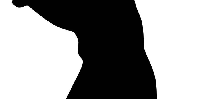 928x1740 Baseball Player Batting Stance Righty Silhouette : Custom Wall