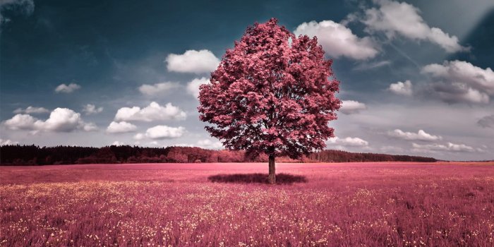 1917x1123 Most Beautiful Wallpapers 2016