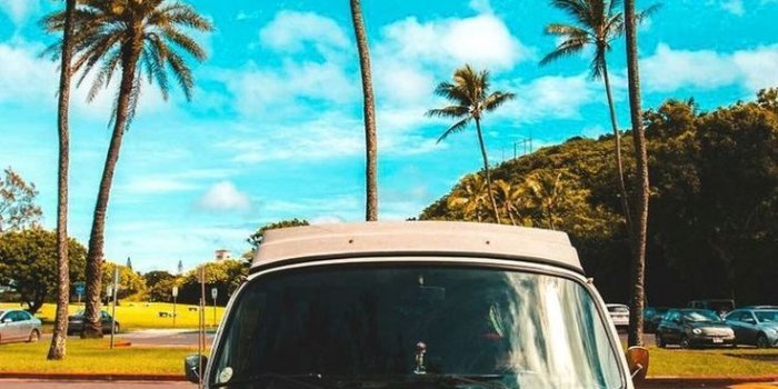 736x1104 Ed Monds on Vans in 2019 | Summer wallpaper, Iphone wallpaper