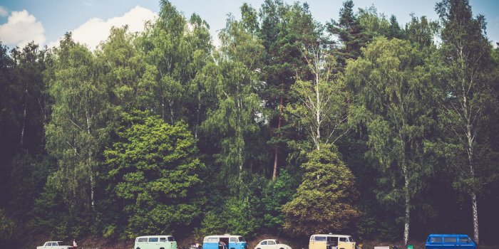 3840x2160 Download wallpaper 3840x2160 trees, forest, vans, camping 4k uhd 16