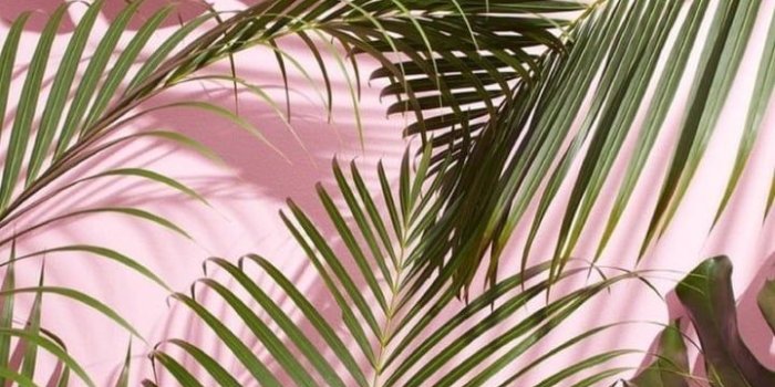 720x1280 Image about tumblr in wallpapers / lockscreens by danielle m