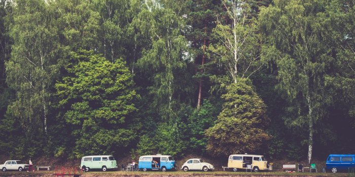 2560x1080 Download wallpaper 2560x1080 trees, forest, vans, camping dual wide