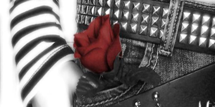1024x768 Red Rose - Emo Wallpaper (6972230) - Fanpop