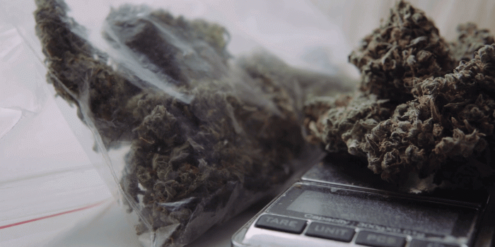 1920x1080 weighing cones of marijuana. Medical marijuana and legalize in the world.  Varietal buds marijuana. 4k downscale to 1080 Stock Video Footage -
