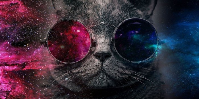 1920x1080 Galaxy Cat Wallpapers