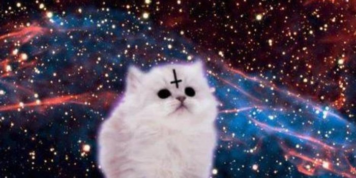 1280x1024 Galaxy Cat | Desktop Backgrounds