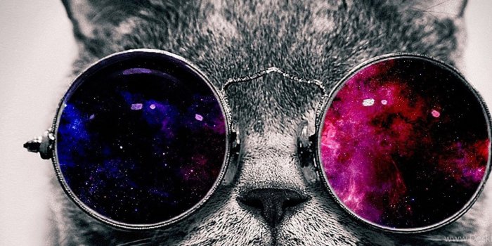 2560x960 Desktop Wallpaper 4k Galaxy Cat (#480754) - HD Wallpaper Download
