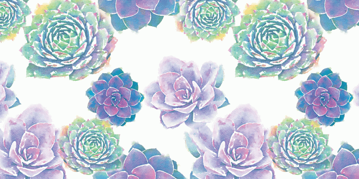 2560x1440 50+ Watercolor Succulent Desktop Wallpapers - Download at WallpaperBro
