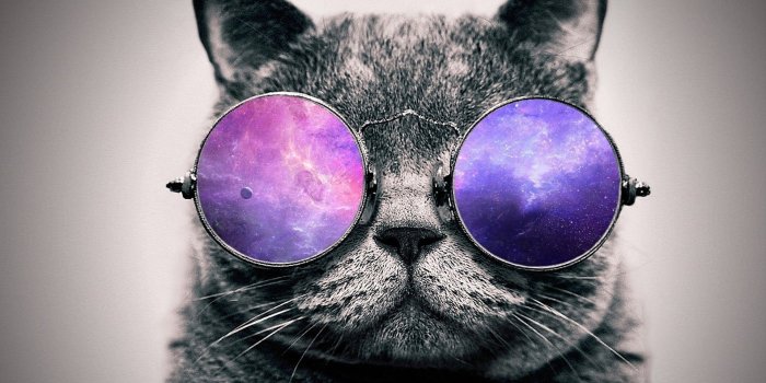 1920x1080 Galaxy cat wallpaper (32 Wallpapers) – Adorable Wallpapers