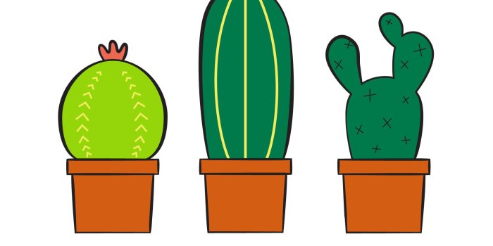 2048x2048 Cactus Wallpaper (52+ images)