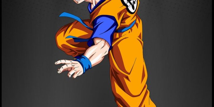 730x1095 Dragon Ball Z Wallpaper: Dragon Ball Z x HMN ALNS quot;Fusionquot