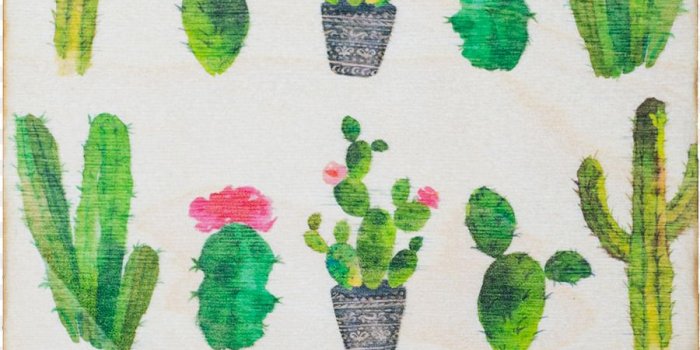 900x1360 United States Leaf Succulent plant Pennant Plywood - flowering cactus