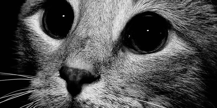 2160x3840 Samsung Wallpaper (60 Wallpapers) – HD Wallpapers | my choice | 3d