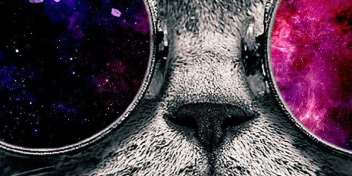 1080x1920 Galaxy Cat iPhone Wallpaper | Backgrounds/Wallpapers | Cat wallpaper