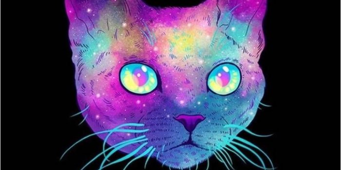 724x1280 Galaxy Cat Wallpaper by PurpleMayhem - a8 - Free on ZEDGE™