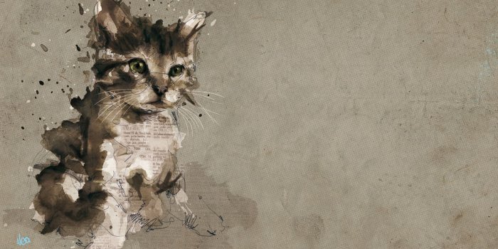 1920x1200 35+ Cat Watercolor Wallpapers - Download at WallpaperBro