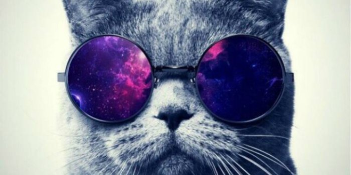 720x1273 Galaxy cat Wallpaper by Agaaa_K - 25 - Free on ZEDGE™