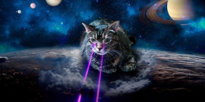 1920x1200 Galaxy Cat Wallpaper - Space Cat, Hd Wallpapers & backgrounds