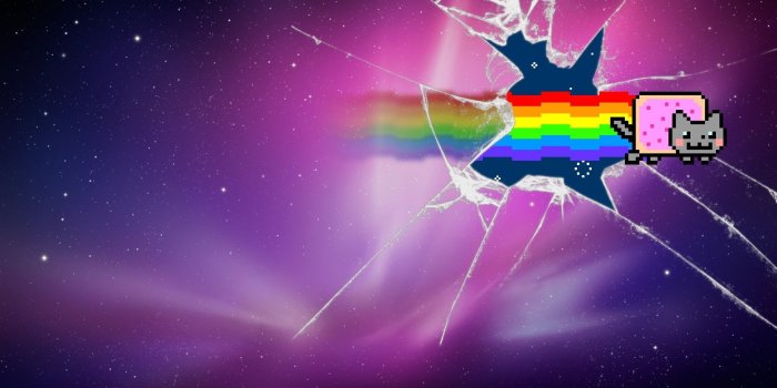 1920x1200 Galaxy cat wallpaper Gallery