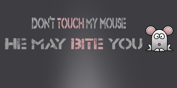 1440x960 Don't Touch My Computer Wallpapers