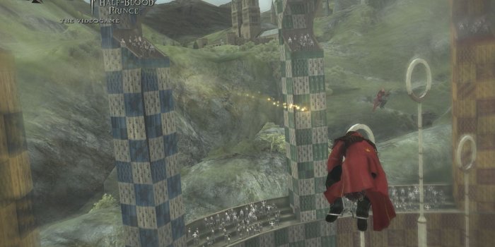 1600x1200 Catch the Golden Snitch