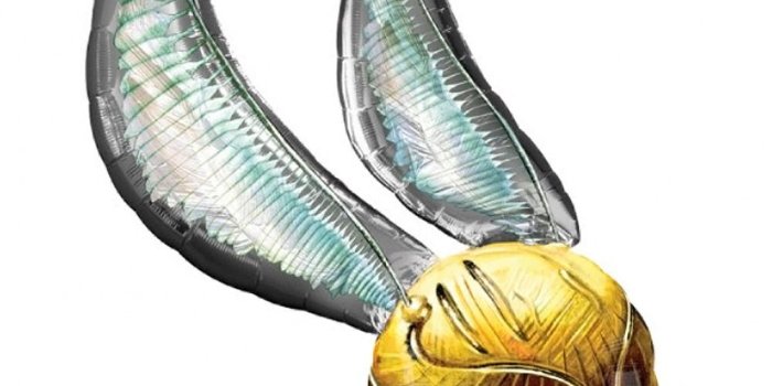 1000x1000 Golden Snitch Clipart | Free download best Golden Snitch Clipart on