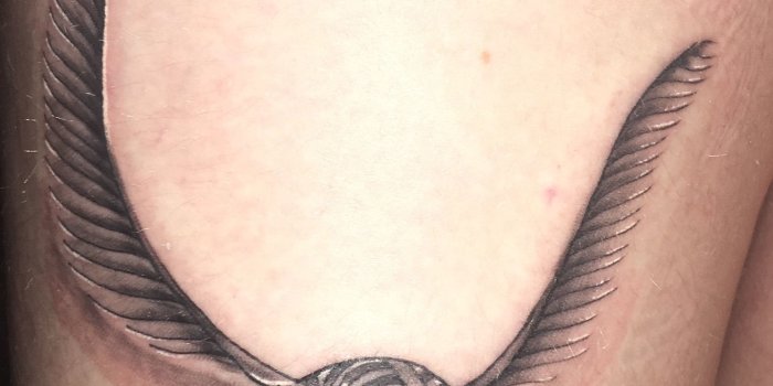 1965x1988 Its very beautiful yes HP t Golden snitch Harry