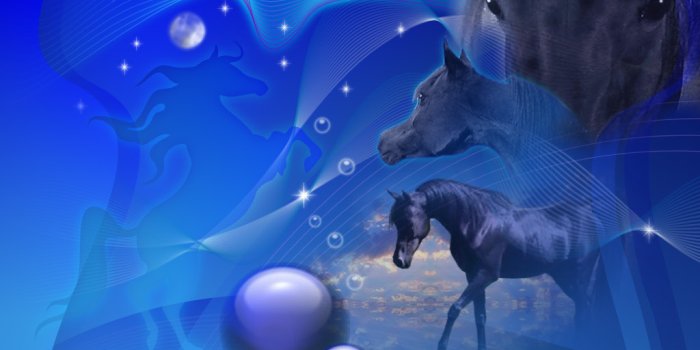 1024x768 hd free desktop background: Windows 7 Desktop Wallpaper