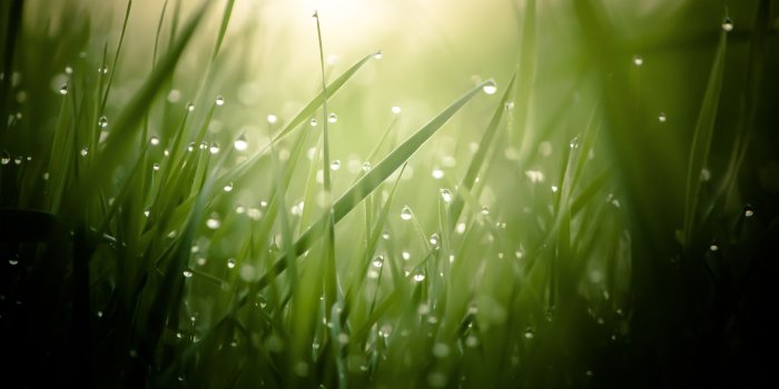 3840x2160 4k Wallpaper For My Desktop (26+ images) on Genchi.info