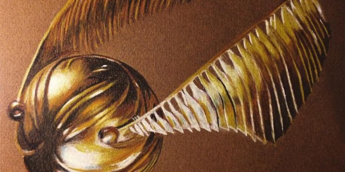 960x960 Golden snitch on Behance