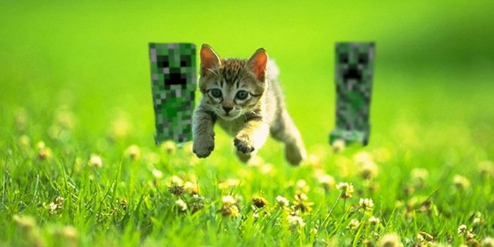 1920x1080 Minecraft Creeper Desktop Background (79+ pictures)