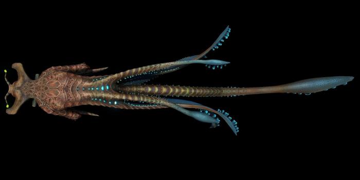 1920x1080 Subnautica Sea Emperor Size Comparison Chart