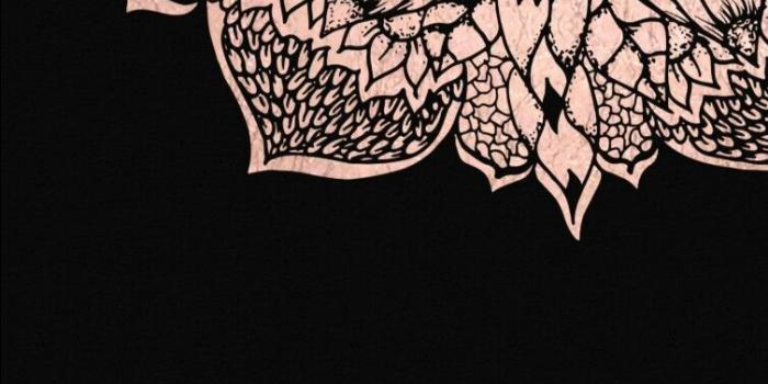 754x1283 Rose Gold and Black Wallpapers - Top Free Rose Gold and Black