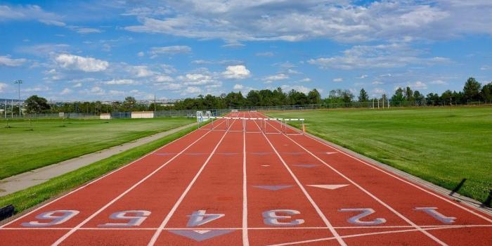 1280x850 Track And Field Wallpapers