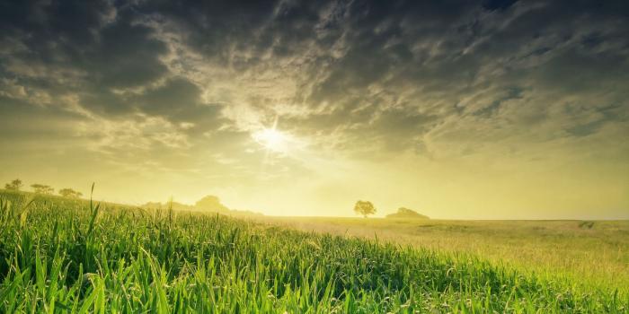 1920x1080 Track and Field Wallpapers (60+ images)