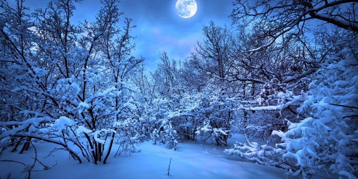 2560x1440 Winter Moon | The Moon & Stars | Winter moon, Winter scenes, Winter