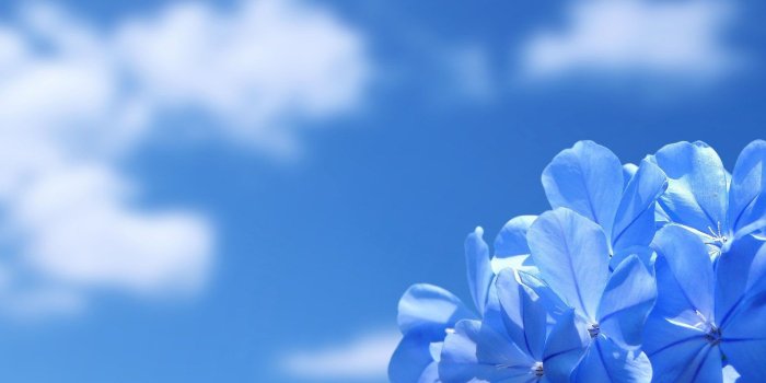 1920x1200 Free download Beautiful Sky Wallpaper wallpaper Beautiful Sky
