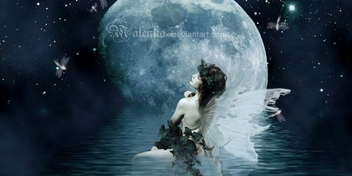 1024x768 49+] Angel Fairies Wallpaper on WallpaperSafari