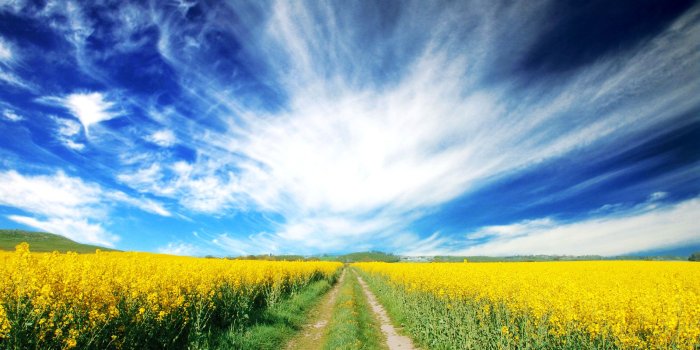 1900x1200 Download wallpaper: dirt road, download photo, beautiful blue Sky