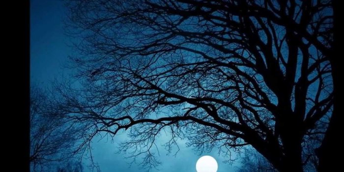 1280x720 Angel Moon Winter Wallpaper