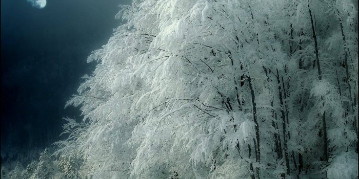 1250x841 Spirit of Winter | The Poet Priestess