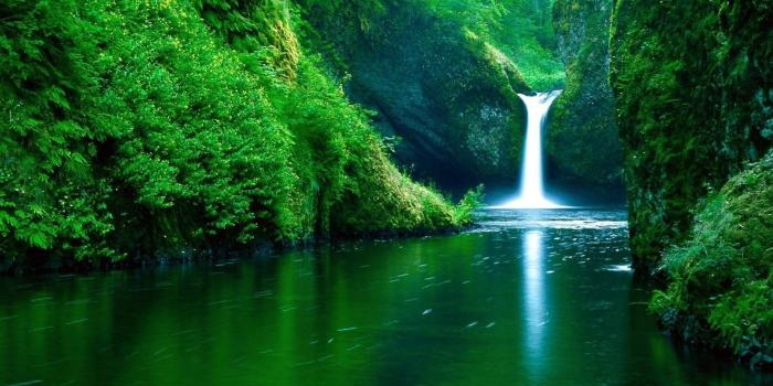 1920x1200 Nature – download best HD on the digitalimagemakerworld.com